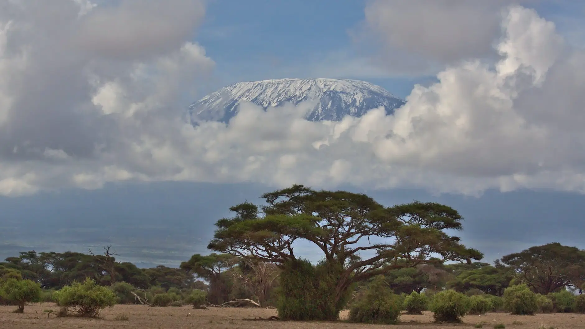 view of mount kilimanjaro the highest mountain of africa showing snow capped uhuru peak from amboseli national park kenya