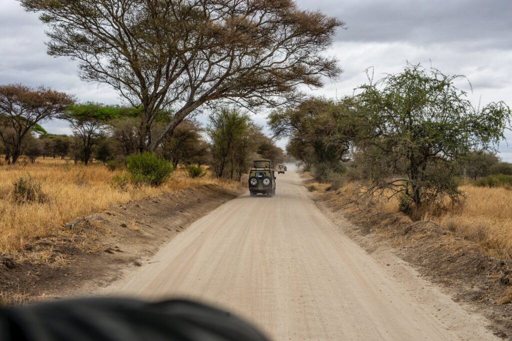 a convoy of safari jeeps on dirt road